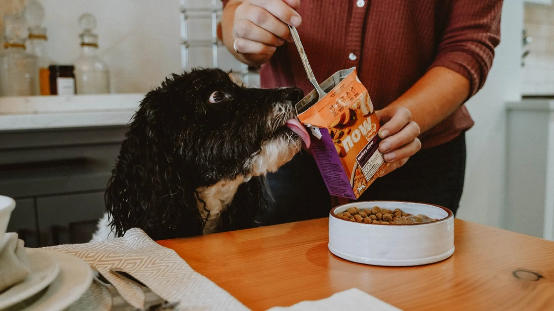 Perro lamiendo alimento húmedo mientras su tutor lo sirve, junto a un bowl con pellet seco